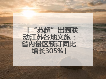 “苏超”出圈联动江苏各地文旅：省内景区预订同比增长305%