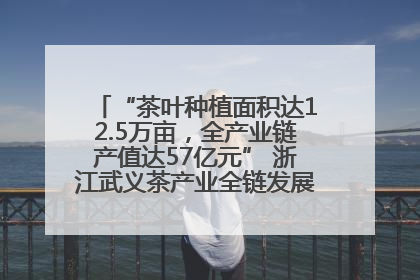 “茶叶种植面积达12.5万亩，全产业链产值达57亿元” 浙江武义茶产业全链发展“加速度”