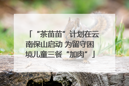 “茶苗苗”计划在云南保山启动 为留守困境儿童三餐“加肉”