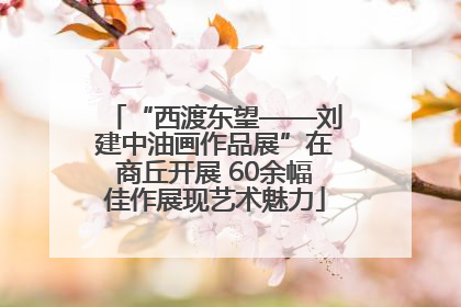“西渡东望——刘建中油画作品展”在商丘开展 60余幅佳作展现艺术魅力