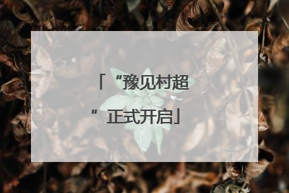 “豫见村超”正式开启