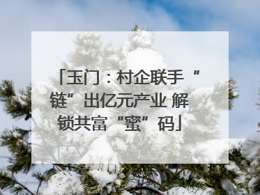玉门：村企联手“链”出亿元产业 解锁共富“蜜”码
