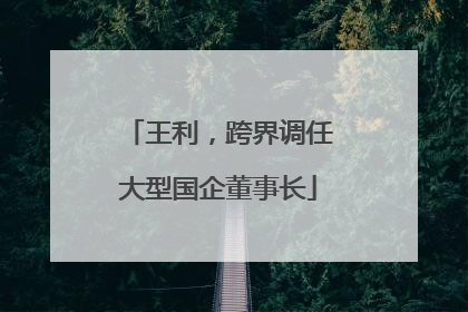 王利，跨界调任大型国企董事长
