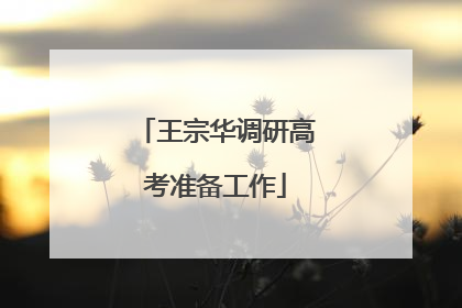 王宗华调研高考准备工作