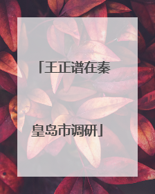 王正谱在秦皇岛市调研