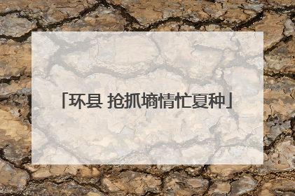 环县 抢抓墒情忙夏种