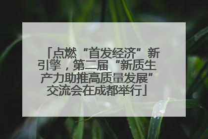 点燃“首发经济”新引擎，第二届“新质生产力助推高质量发展”交流会在成都举行