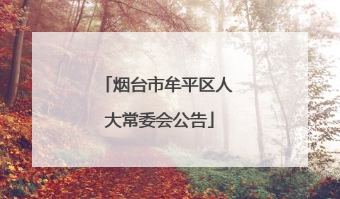 烟台市牟平区人大常委会公告