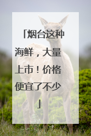 烟台这种海鲜，大量上市！价格便宜了不少