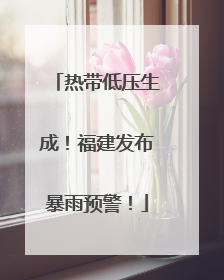 热带低压生成！福建发布暴雨预警！
