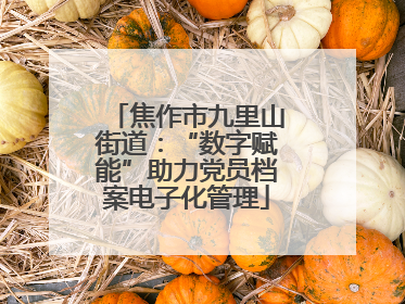 焦作市九里山街道：“数字赋能”助力党员档案电子化管理