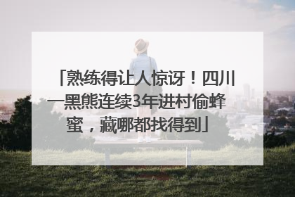 熟练得让人惊讶！四川一黑熊连续3年进村偷蜂蜜，藏哪都找得到