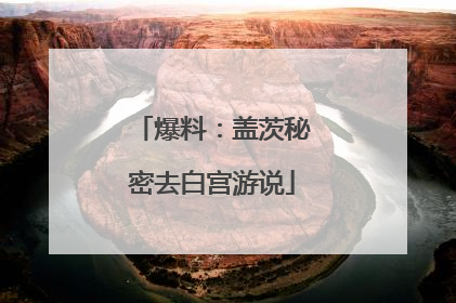爆料：盖茨秘密去白宫游说