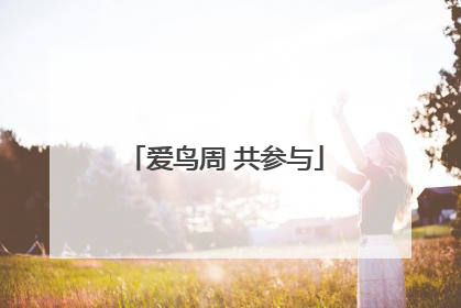 爱鸟周 共参与