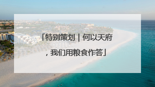 特别策划｜何以天府，我们用粮食作答