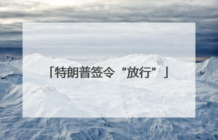 特朗普签令“放行”