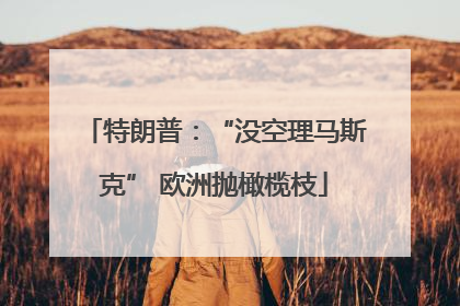 特朗普：“没空理马斯克” 欧洲抛橄榄枝