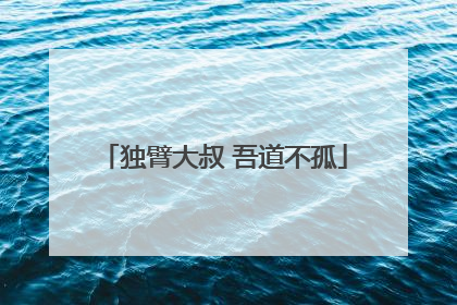 独臂大叔 吾道不孤