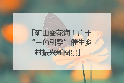 矿山变花海！广丰“三色引擎”催生乡村振兴新图景