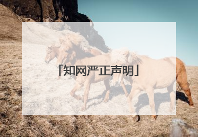 知网严正声明