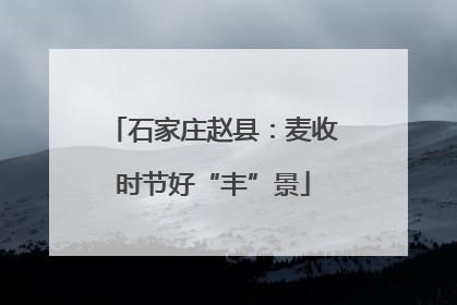 石家庄赵县：麦收时节好“丰”景