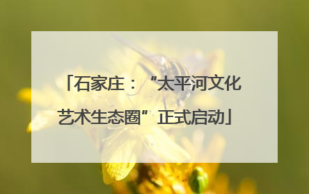 石家庄：“太平河文化艺术生态圈”正式启动