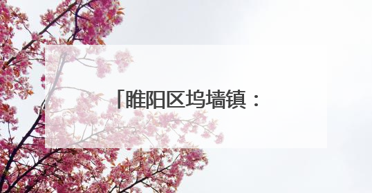 睢阳区坞墙镇：粽叶飘香传文化 浓情端午聚民心
