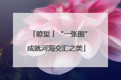 瞭望丨“一张图”成就河海交汇之美