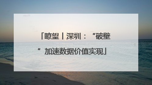 瞭望丨深圳：“破壁”加速数据价值实现