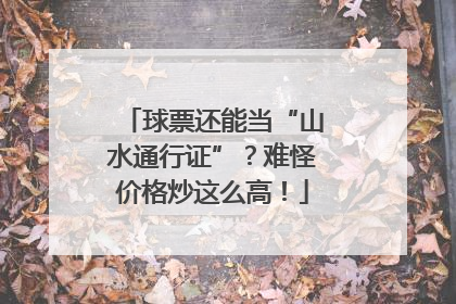 球票还能当“山水通行证”？难怪价格炒这么高！