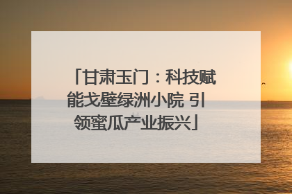 甘肃玉门：科技赋能戈壁绿洲小院 引领蜜瓜产业振兴