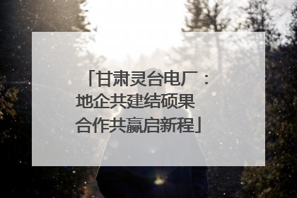 甘肃灵台电厂：地企共建结硕果 合作共赢启新程