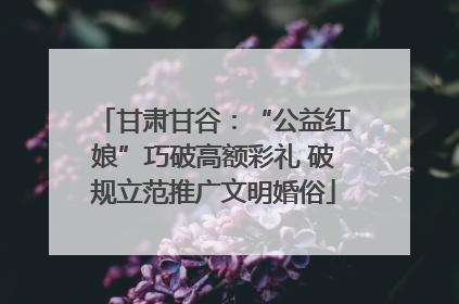 甘肃甘谷：“公益红娘”巧破高额彩礼 破规立范推广文明婚俗