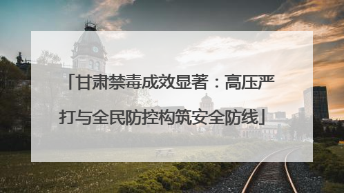 甘肃禁毒成效显著：高压严打与全民防控构筑安全防线