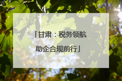 甘肃：税务领航 助企合规前行