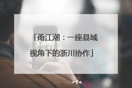 甬江潮：一座县域视角下的浙川协作
