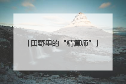 田野里的“精算师”