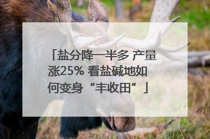 盐分降一半多 产量涨25% 看盐碱地如何变身“丰收田”