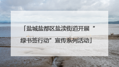盐城盐都区盐渎街道开展“绿书签行动”宣传系列活动