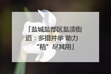 盐城盐都区盐渎街道：多措并举 助力“秸”尽其用