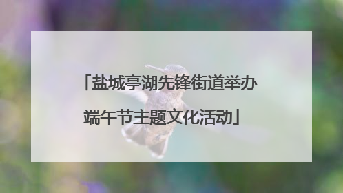 盐城亭湖先锋街道举办端午节主题文化活动