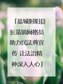 盐城射阳县长荡镇网格员助力民法典宣传 让法治精神深入人心