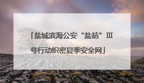 盐城滨海公安“盐靖”Ⅲ号行动织密夏季安全网