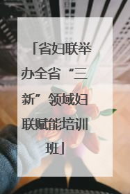 省妇联举办全省“三新”领域妇联赋能培训班