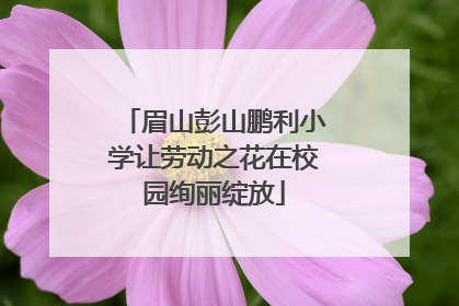 眉山彭山鹏利小学让劳动之花在校园绚丽绽放
