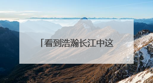 看到浩瀚长江中这么多人组成的渡江长龙，非常震撼