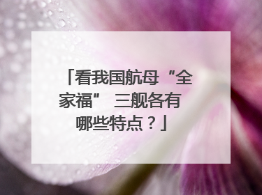 看我国航母“全家福” 三舰各有哪些特点？