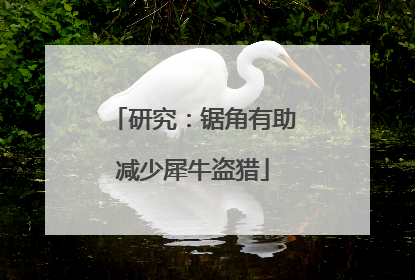 研究：锯角有助减少犀牛盗猎