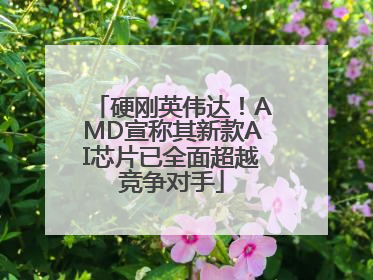 硬刚英伟达！AMD宣称其新款AI芯片已全面超越竞争对手