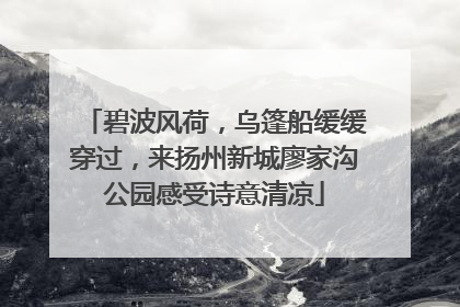碧波风荷，乌篷船缓缓穿过，来扬州新城廖家沟公园感受诗意清凉